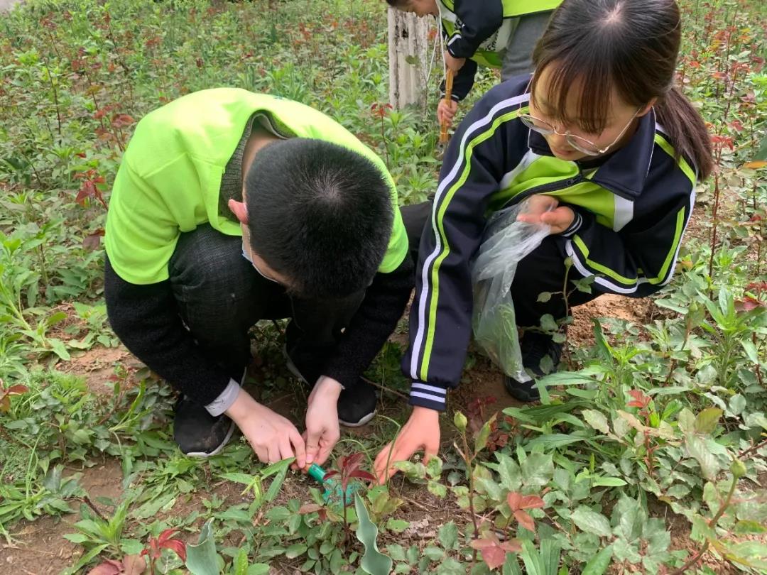 微信图片_20210508080437.jpg