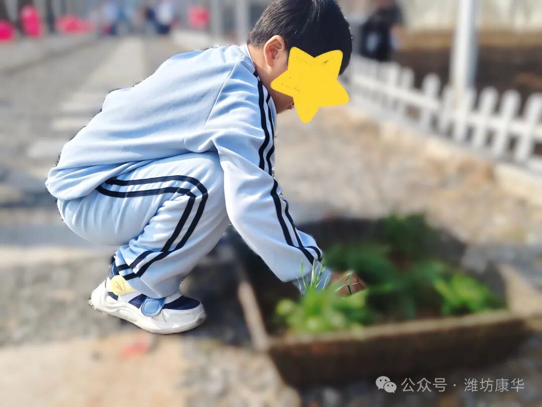 1774914097147184.jpg 640 (1).jpg